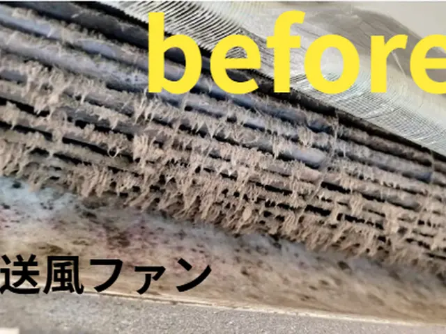 本当の洗浄とは、ただのきれいにするだけではなく、その「きれい」を長く保つことですサービスの画像