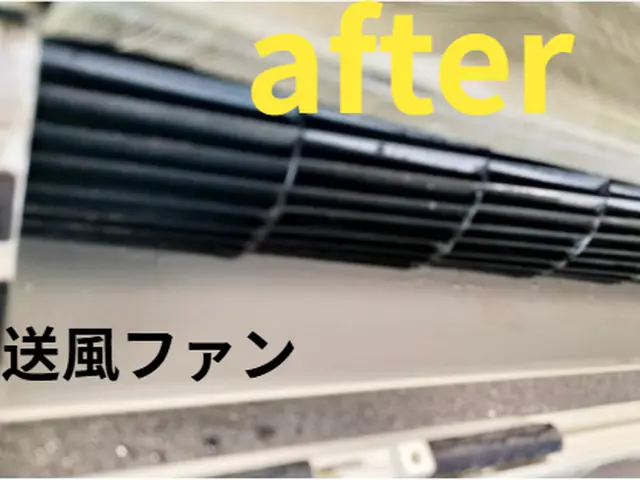 本当の洗浄とは、ただのきれいにするだけではなく、その「きれい」を長く保つことですサービスの画像