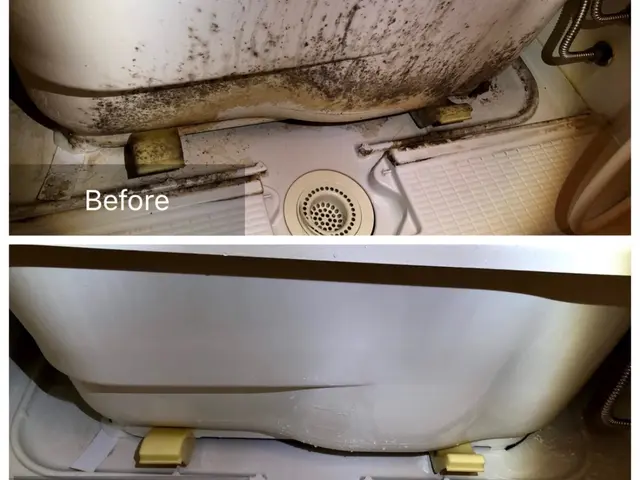 【総合ランキング上位店舗】❇損害保険✴大手出身❇即日対応✴即レス❇口コミ高評価サービスの画像