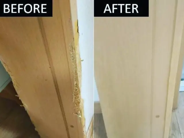 人気！ペットの噛みキズ補修！あきらめていたキズも大丈夫◎大手企業加盟店で安心◎サービスの画像