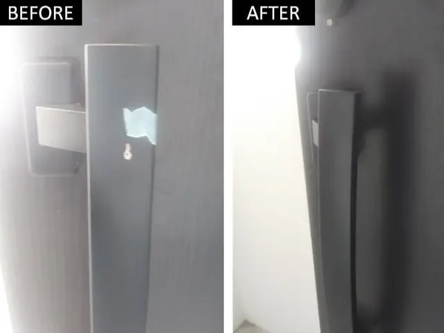 人気！ペットの噛みキズ補修！あきらめていたキズも大丈夫◎大手企業加盟店で安心◎サービスの画像