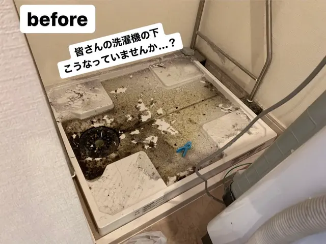 【即日対応可‼︎】洗濯機の取付はプロにお任せ下さい！ブログも是非遊び来て下さい！サービスの画像