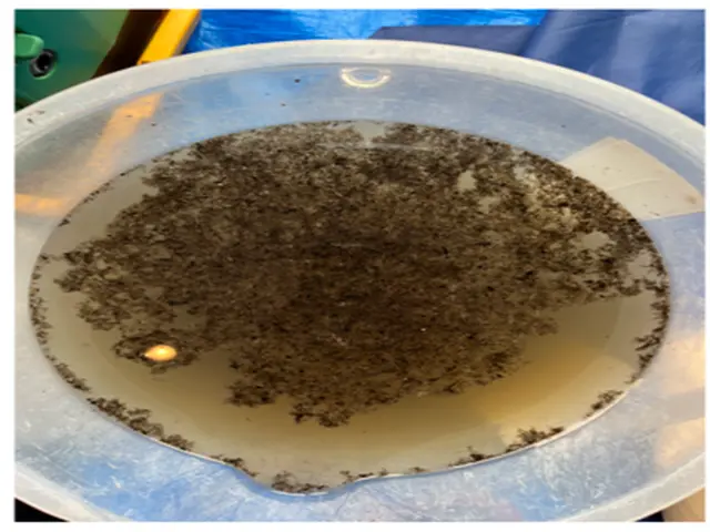 最短12/14！☆抗菌コート無料キャンペーン☆気になるエアコンの汚れを一掃しますサービスの画像