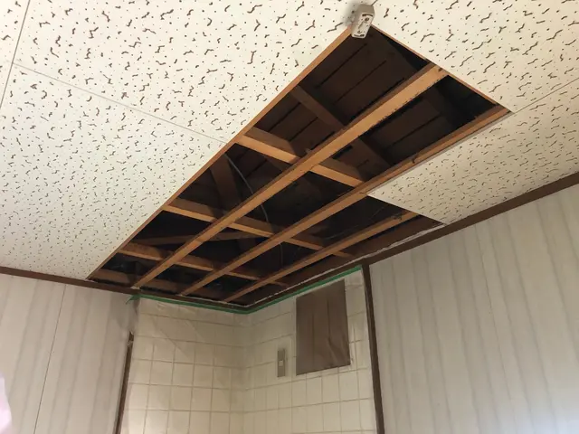 アシナガバチ8000円◆まずは問い合わせから◆相見積もりは絶対取るべきです。サービスの画像