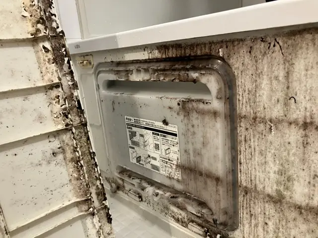 必見！オリジナルマイナスオプション有り！丁寧な当店にお任せ！女性スタッフ同行OKサービスの画像