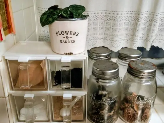 和のこころサービスの画像