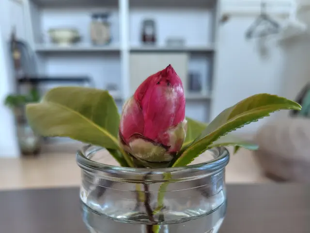 和のこころサービスの画像