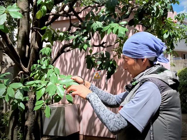 ★広範囲消毒は当店だけ★専用薬剤使用！即日対応も！蚊の退治もOKです！サービスの画像