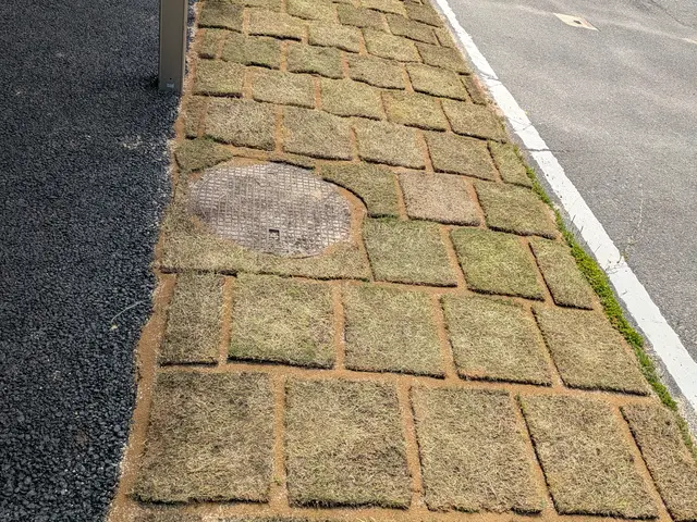 芝生敷き均し、目土敷き均しサービスの画像