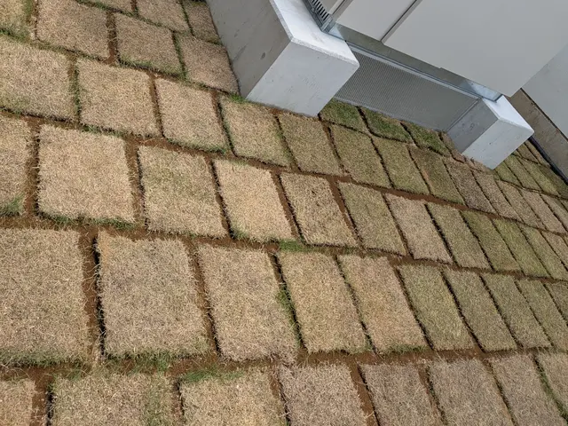 芝生敷き均し、目土敷き均しサービスの画像