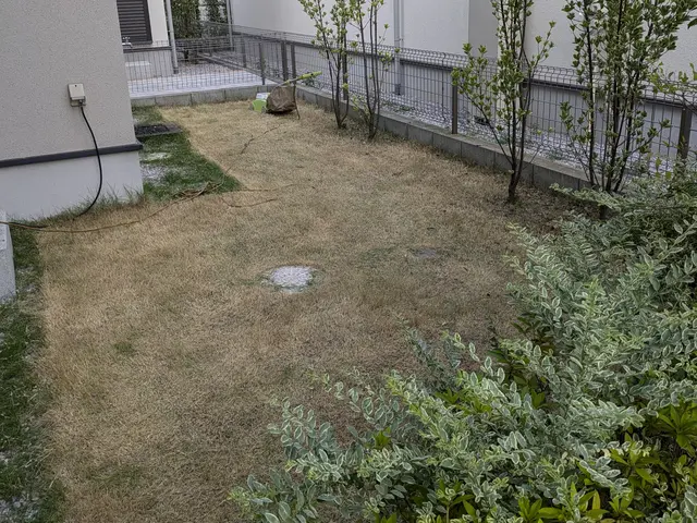 お庭をキレイに！芝刈りも承ります。空き地OK 地面が見えるまで刈り上げます！サービスの画像