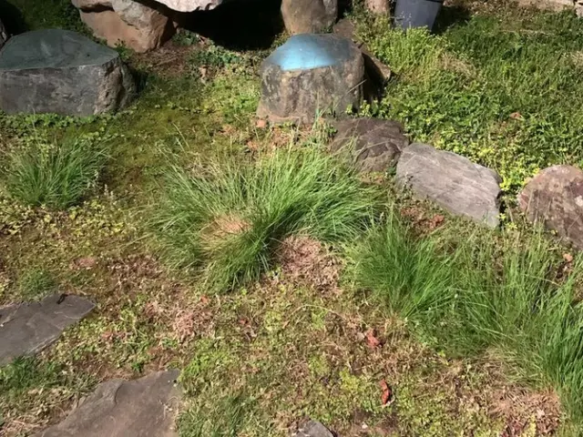 ◎夜間早朝も対応可能◎年中無休◎自信の自社対応◎大手業務経験豊富サービスの画像