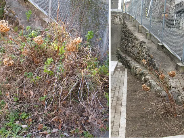 【安全でスッキリしたお庭に】職人歴23年、１級造園技能士の私がお伺いします。！サービスの画像