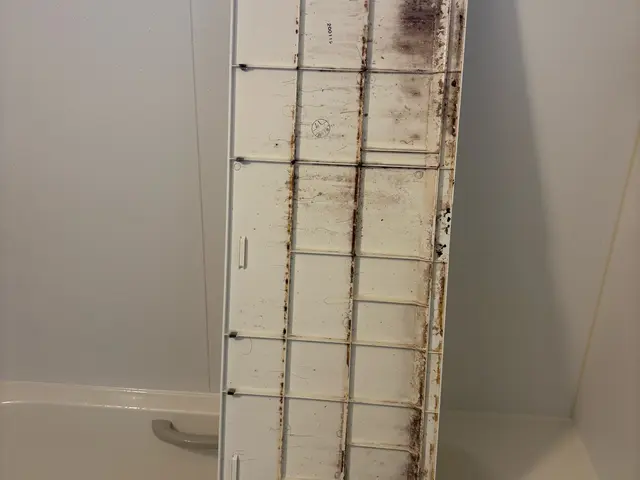 ★新座市中心に活動中★お風呂（浴室）クリーニングサービスの画像