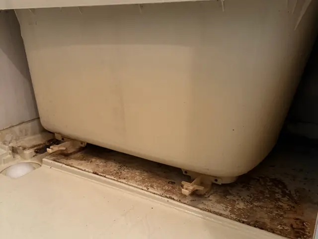 11月.12月ご予約お早めに！！お風呂＋お風呂換気扇¥25000←オススメサービスの画像