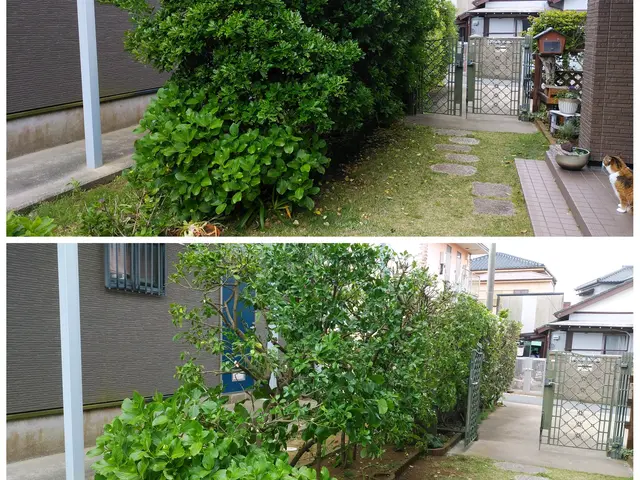 夫婦二人で伺います！業歴30余年の夫と、妻と、真心込めてお手入れします。サービスの画像