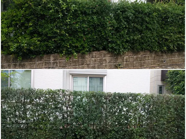 夫婦二人で伺います！業歴30余年の夫と、妻と、真心込めてお手入れします。サービスの画像