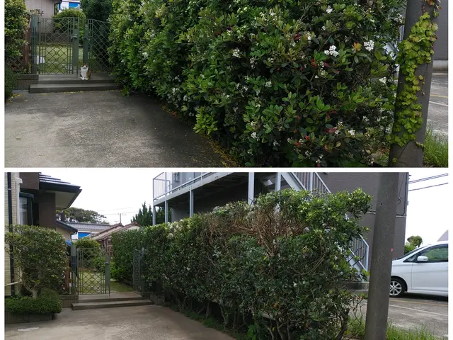 夫婦二人で伺います！業歴30余年の夫と、妻と、真心込めてお手入れします。サービスの画像