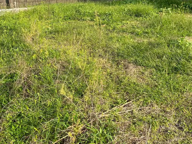 ☆2026年2月オープン☆造園一筋15年以上！お庭のお手入れお任せください！サービスの画像