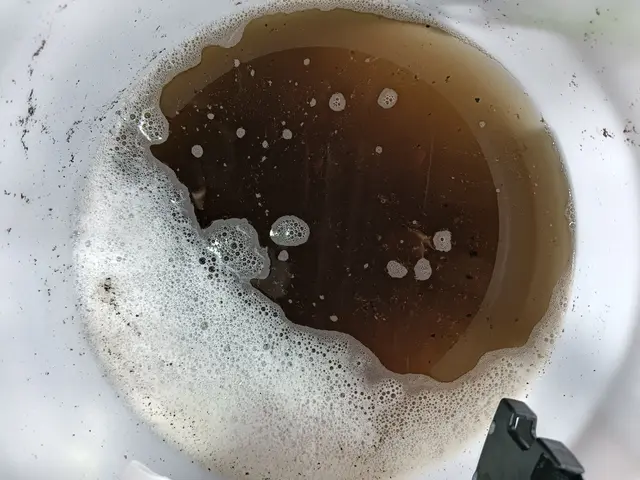 お値段以上！の丁寧とキレイをお約束★安心のエコ洗剤使用★サービスの画像