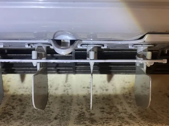 オータムキャンペーン★消臭・抗菌防カビコート無料サービス★PayPay対応サービスの画像