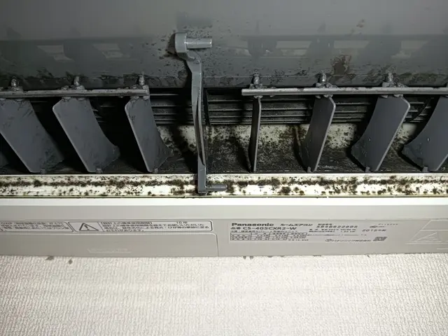 お値段以上！の丁寧とキレイをお約束★安心のエコ洗剤使用★サービスの画像