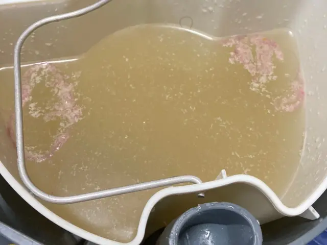 【土日祝日もOK◎】◆布・合皮◆シミ・臭い・嘔吐・排泄物◆高温スチーム使用！サービスの画像