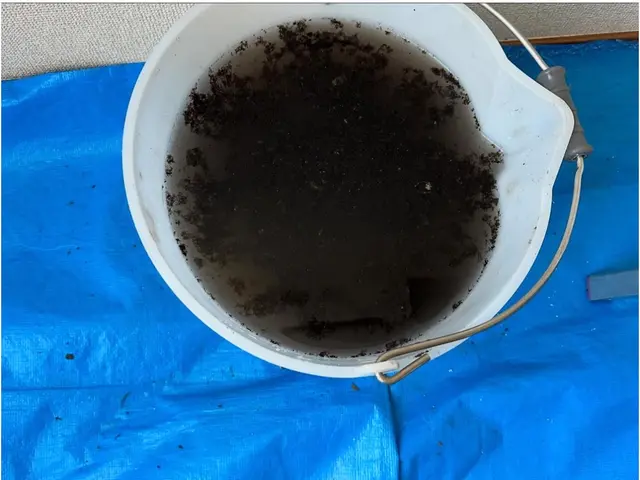 ◎繁忙期前防カビコーティング無料サービス！自社で保険加入済み！安心安全保証付！サービスの画像