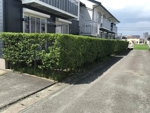 【仕上がり保証付き】豊富な経験と知識で安心！対象地域外・営業時間外もご相談歓迎！サービスの画像