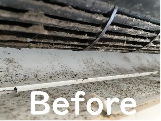 "エアコンクリーニング" 内装のプロが徹底洗浄！カビ臭・汚れゼロへ　追加費用なしサービスの画像