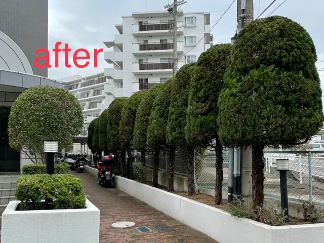 《業歴20年》植木1本からでもお気軽にご相談ください。サービスの画像