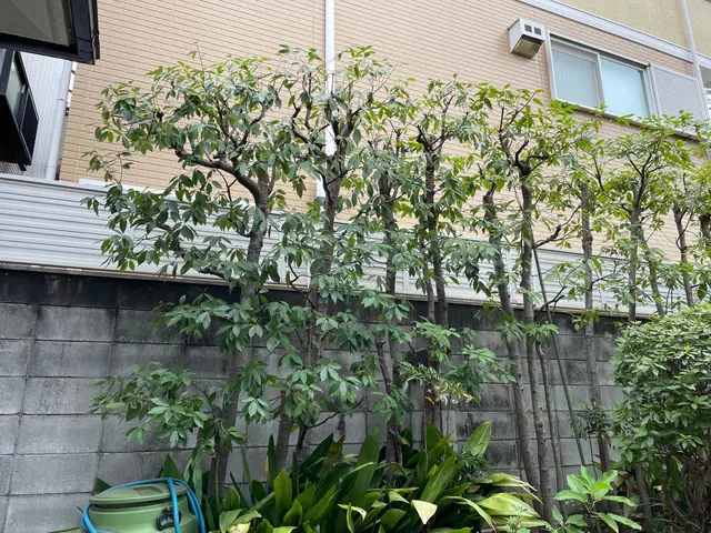 《業歴20年》植木1本からでもお気軽にご相談ください。サービスの画像