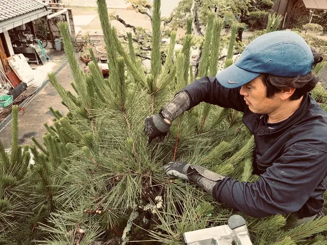 《業歴20年》植木1本からでもお気軽にご相談ください。サービスの画像
