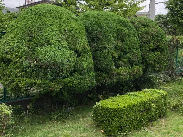 ☆期間限定☆害虫消毒サービスします！早めの対策を！サービスの画像