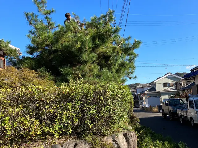 ☆期間限定☆害虫消毒サービスします！早めの対策を！サービスの画像