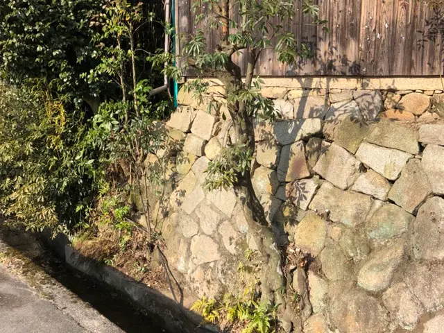 ☆期間限定☆害虫消毒サービスします！早めの対策を！サービスの画像