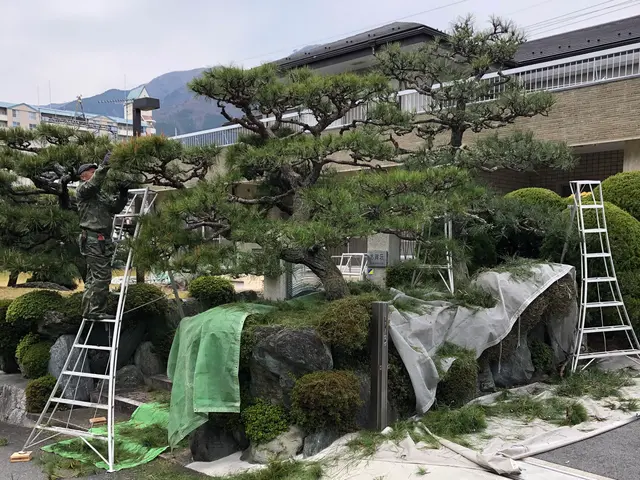 ☆期間限定☆害虫消毒サービスします！早めの対策を！サービスの画像