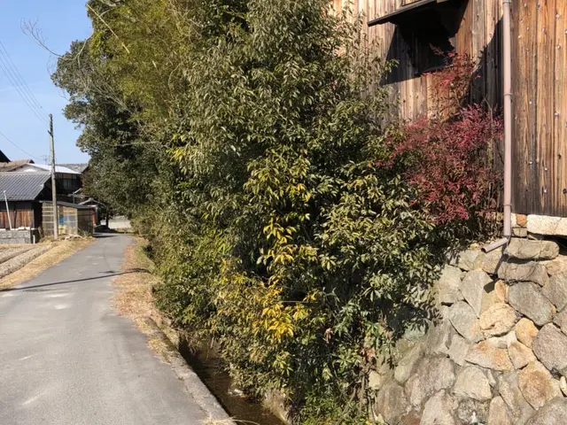 ☆期間限定☆害虫消毒サービスします！早めの対策を！サービスの画像