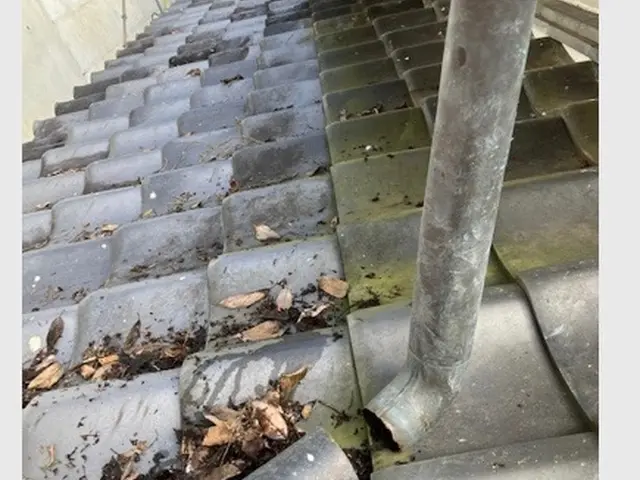 ◉女性スタッフ同行 ◉かわらぶき一級技能士が施工致します  サービスの画像