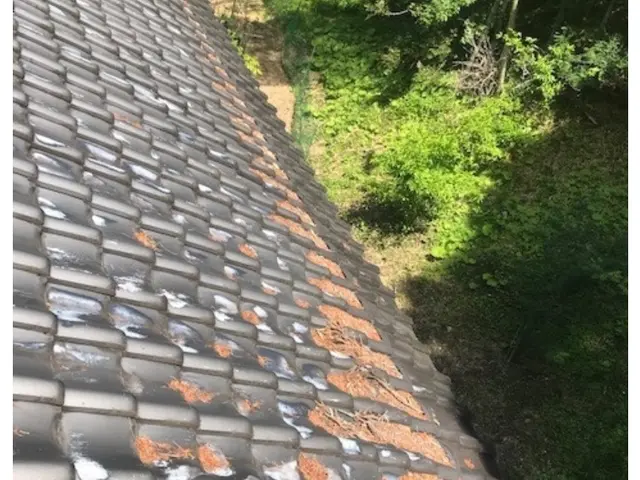 ◉女性スタッフ同行 ◉かわらぶき一級技能士が施工致します  サービスの画像