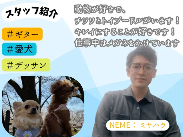 「掃除のプロ」にお任せ★業界経験10年以上★損害保険加入！安心技術と親切な接客！サービスの画像