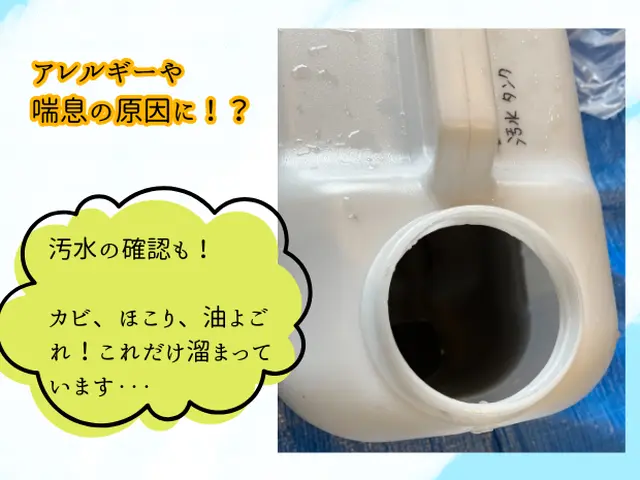 「掃除のプロ」にお任せ★業界経験10年以上★損害保険加入！安心技術と親切な接客！サービスの画像