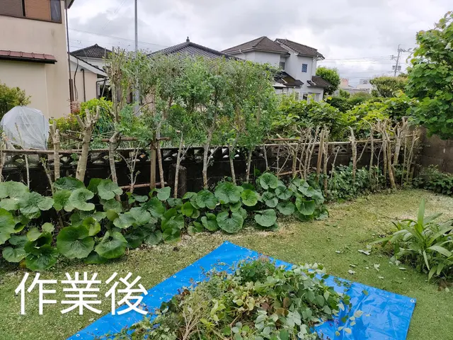 庭木の剪定サービスの画像