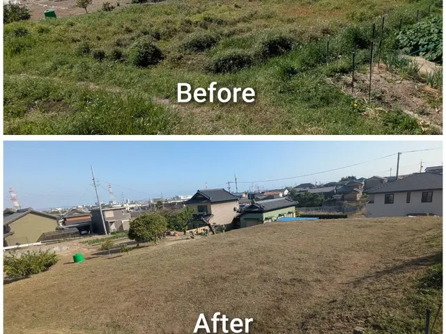 高齢者・福祉施設からも信頼される丁寧な庭のお手入れサービスサービスの画像