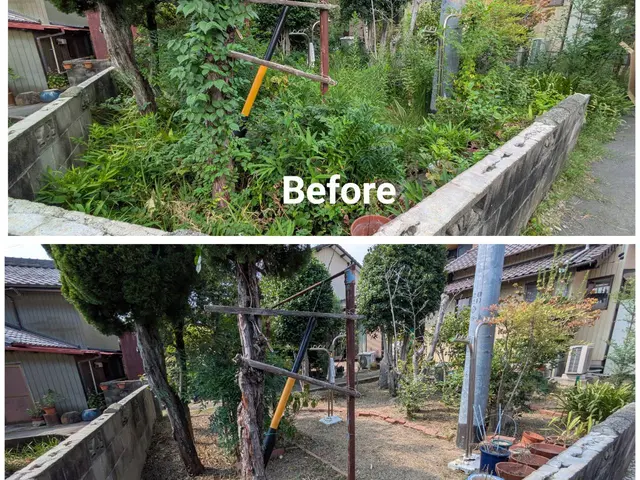 高齢者・福祉施設からも信頼される丁寧な庭のお手入れサービスサービスの画像