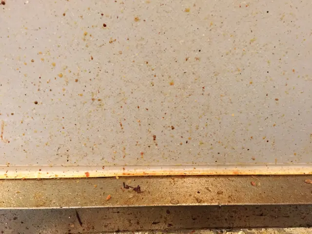 ハウスクリーニング魔術師が綺麗をお届けに参りますサービスの画像