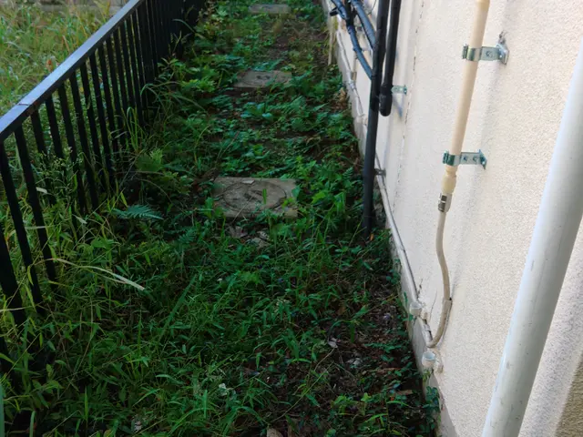 立地事情で機械が使えない箇所の草取り一度ご相談くださいませ！サービスの画像