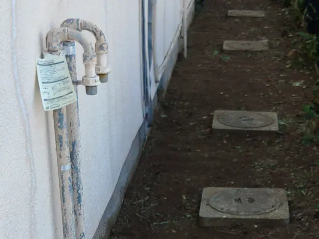 立地事情で機械が使えない箇所の草取り一度ご相談くださいませ！サービスの画像