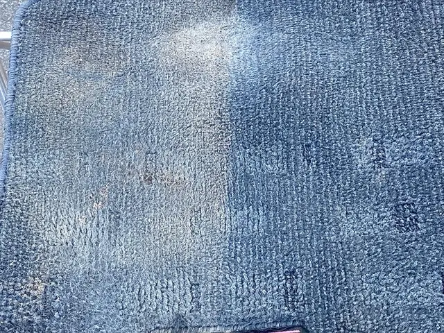 各種クレカ・QR決済可能！嘔吐物、糞尿処理、その他クリーニング相談も歓迎！サービスの画像