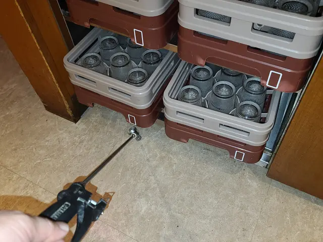 飲食店などのゴキブリ駆除サービスの画像